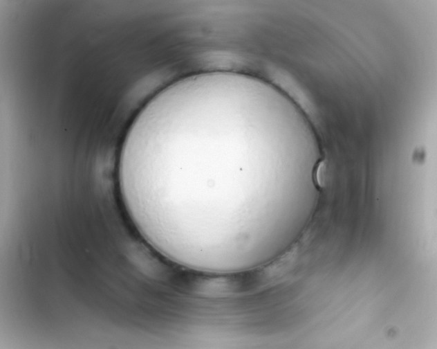 X0000103330058200809192214