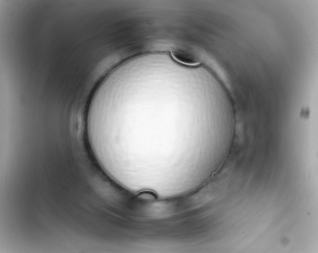 X0000103330059200809192214