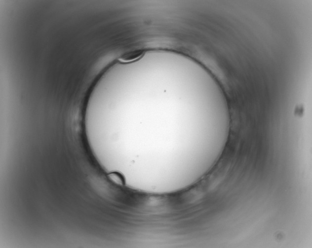 X0000103330060200809192214