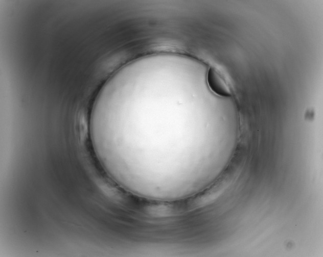 X0000103330061200809192214