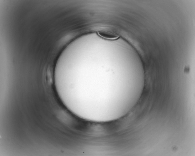 X0000103330062200809192214