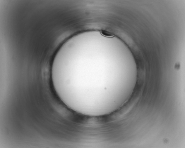 X0000103330064200809192214