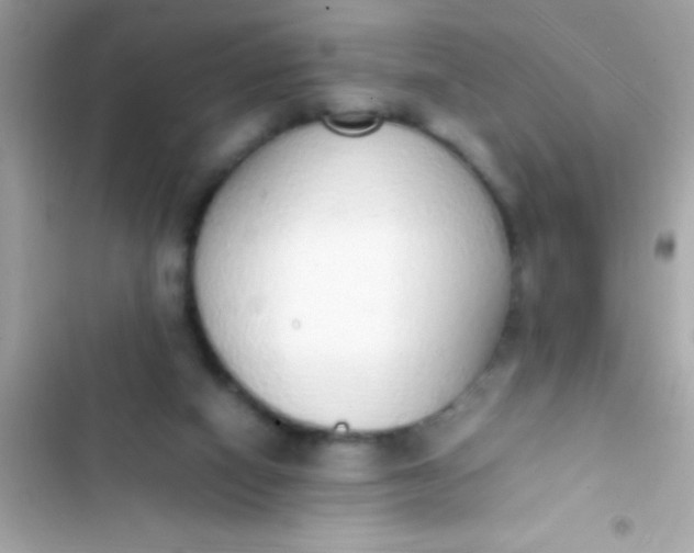 X0000103330066200809192214