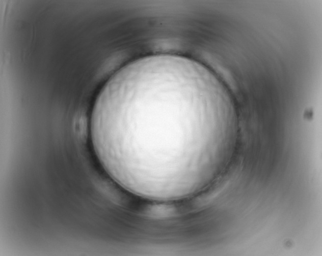 X0000103330067200809192214