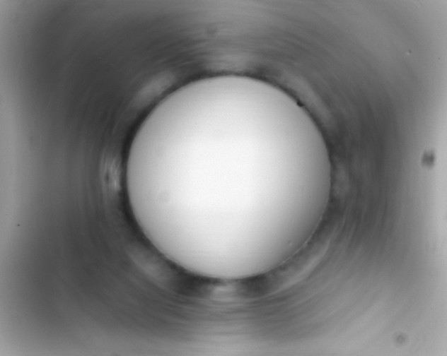 X0000103330068200809192214