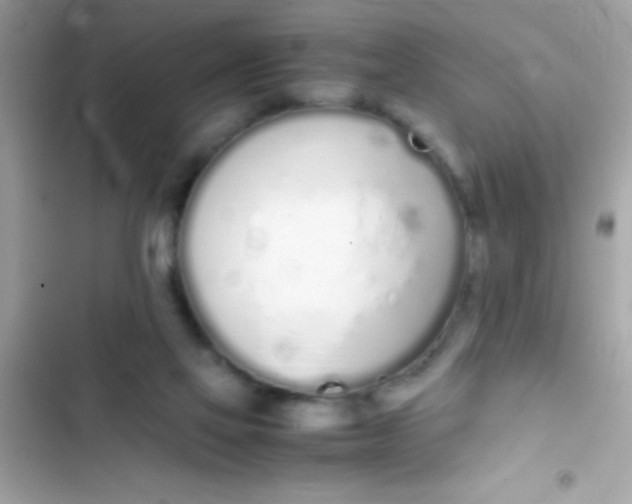 X0000103330069200809192214