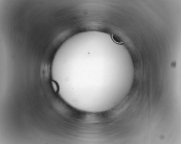 X0000103330070200809192214