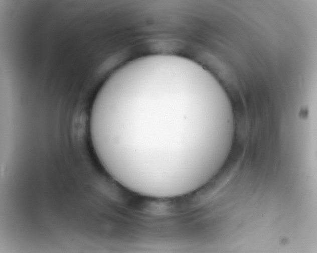 X0000103330071200809192214