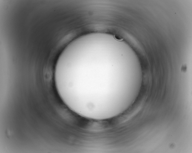 X0000103330072200809192214