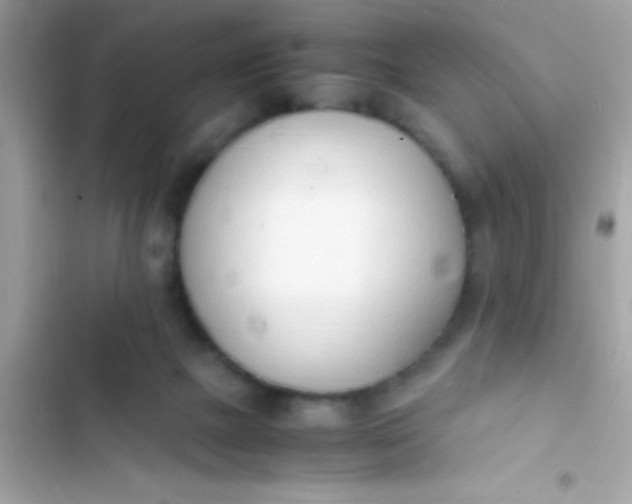 X0000103330073200809192214