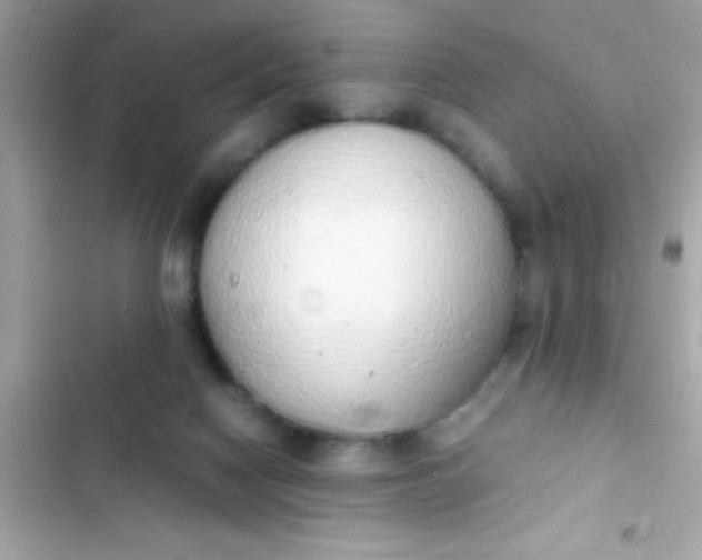 X0000103330074200809192214