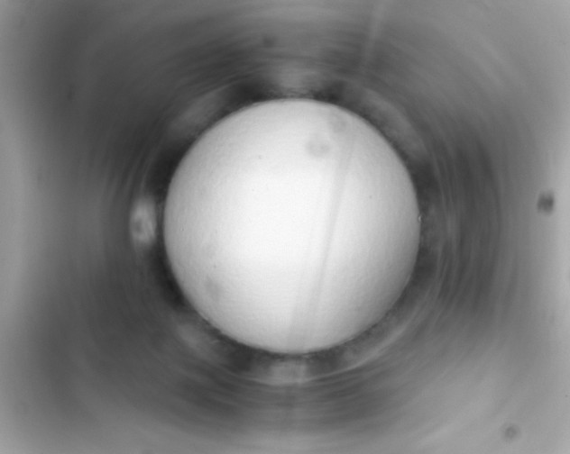 X0000103330075200809192214