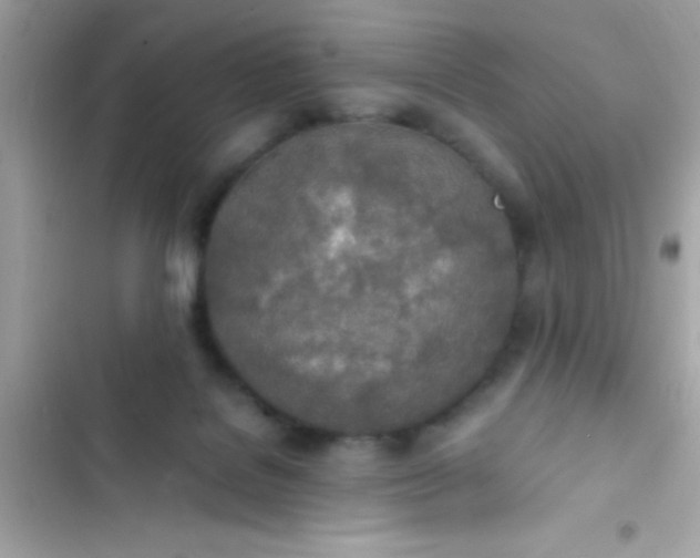 X0000103330076200809192214