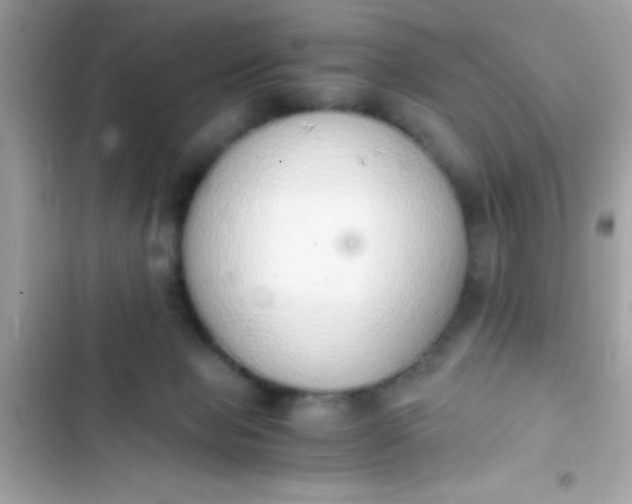 X0000103330077200809192214