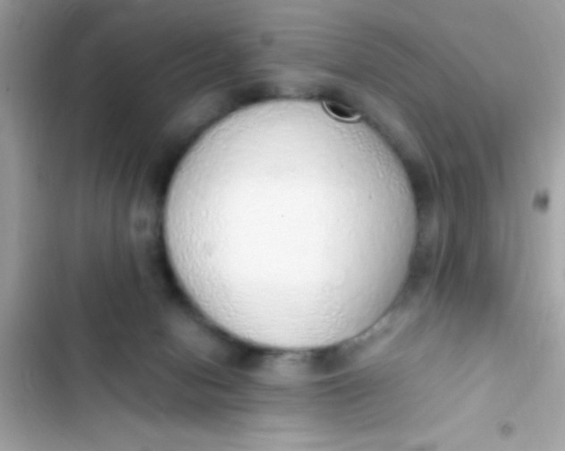 X0000103330078200809192214