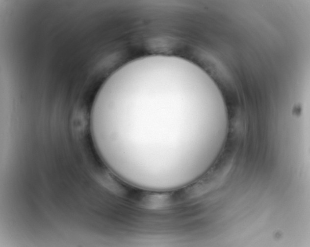 X0000103330081200809192214