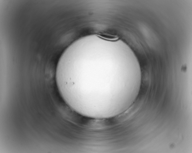 X0000103330082200809192214