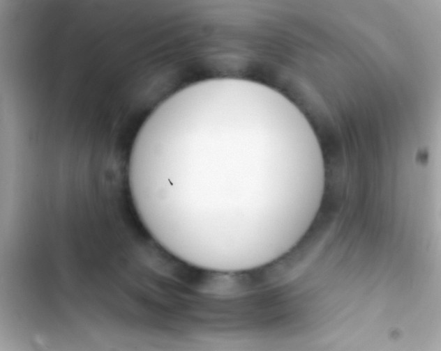 X0000103330083200809192214