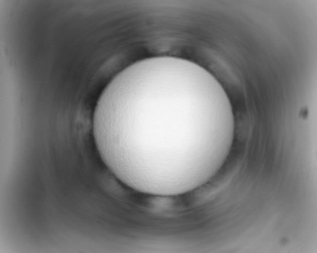 X0000103330085200809192214