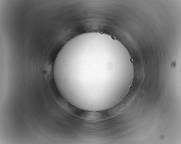 X0000103330087200809192214