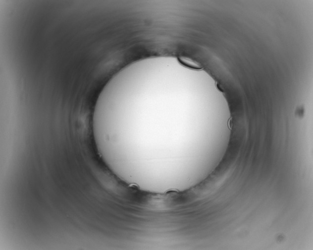 X0000103330088200809192214