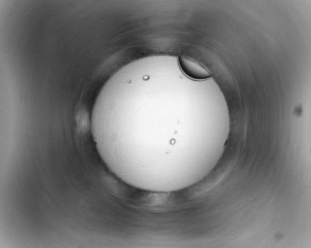 X0000103330089200809192214