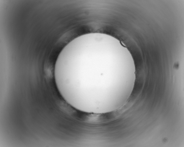 X0000103330090200809192214