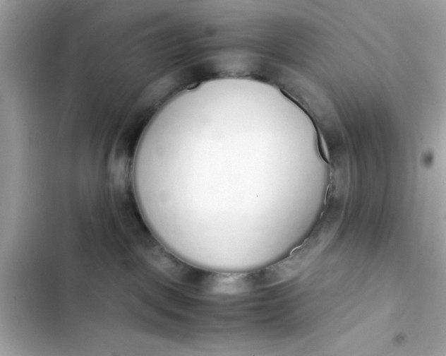 X0000103330093200809192214