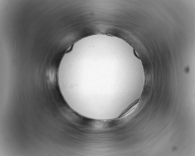 X0000103330094200809192214