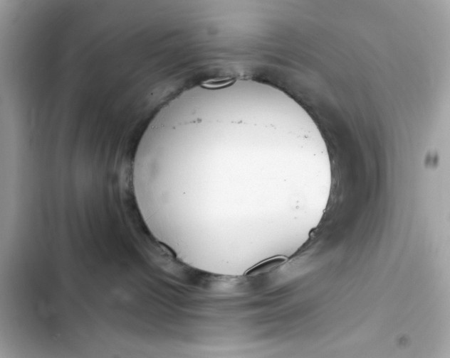 X0000103330096200809192214