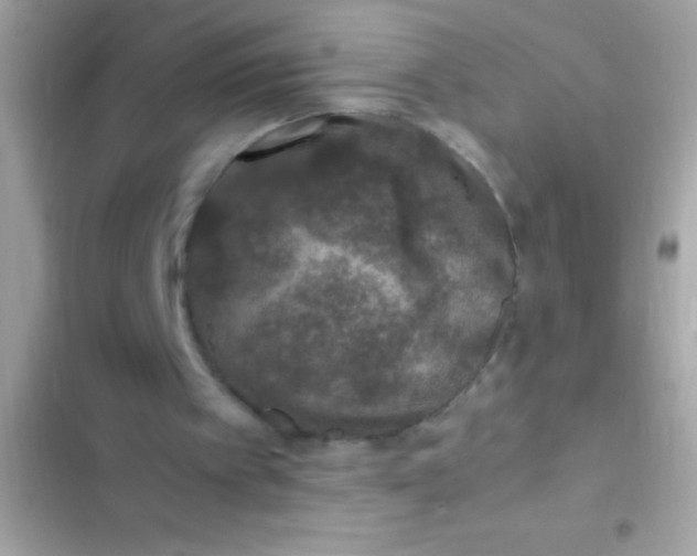 X0000103330097200809192214