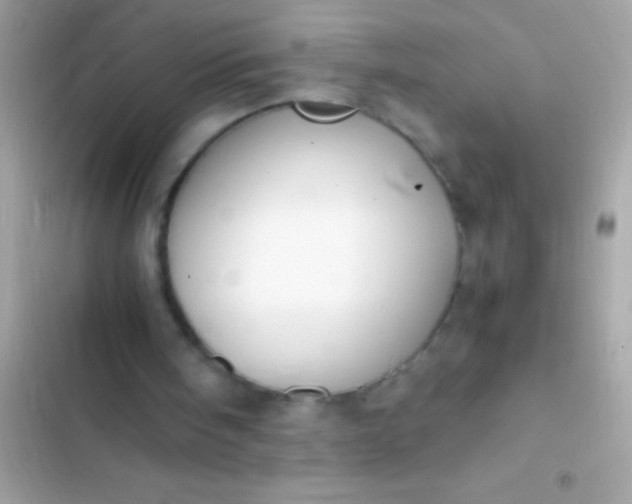 X0000103330098200809192214