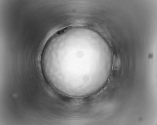 X0000103330099200809192214