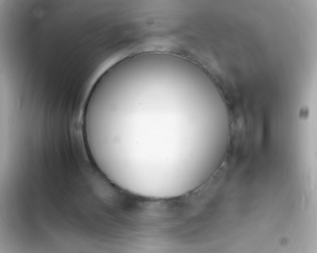 X0000103330100200809192214