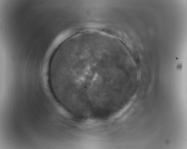 X0000103330101200809192214