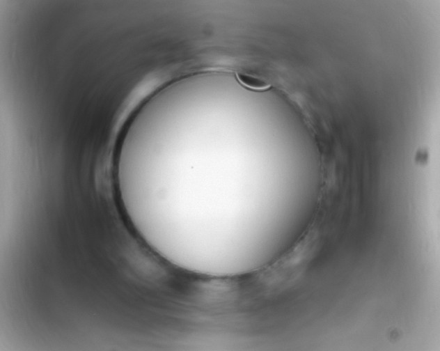 X0000103330102200809192214