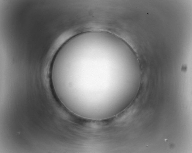 X0000103330103200809192214