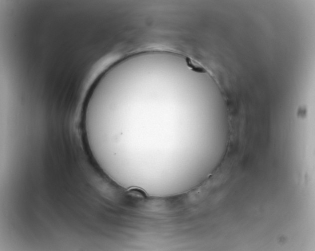 X0000103330104200809192214