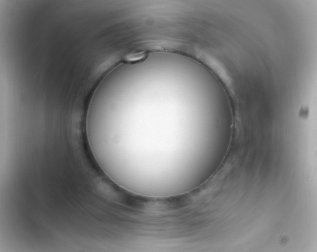 X0000103330105200809192214