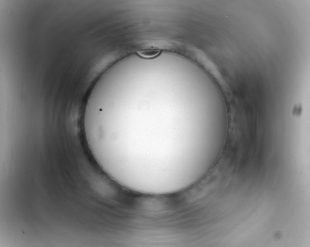 X0000103330106200809192214