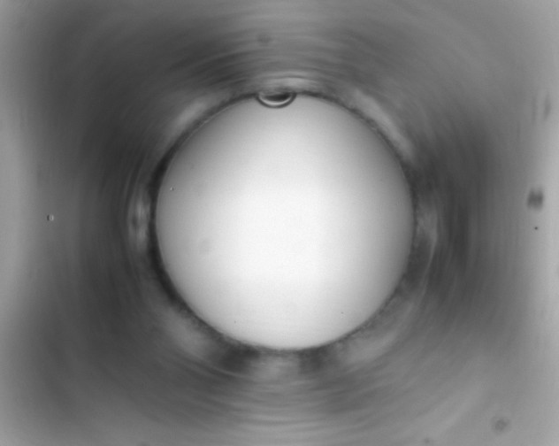 X0000103330110200809192214