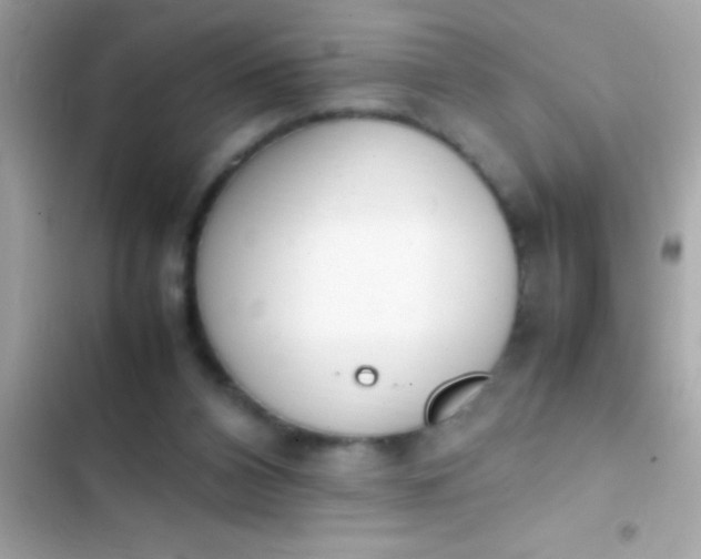 X0000103330112200809192214