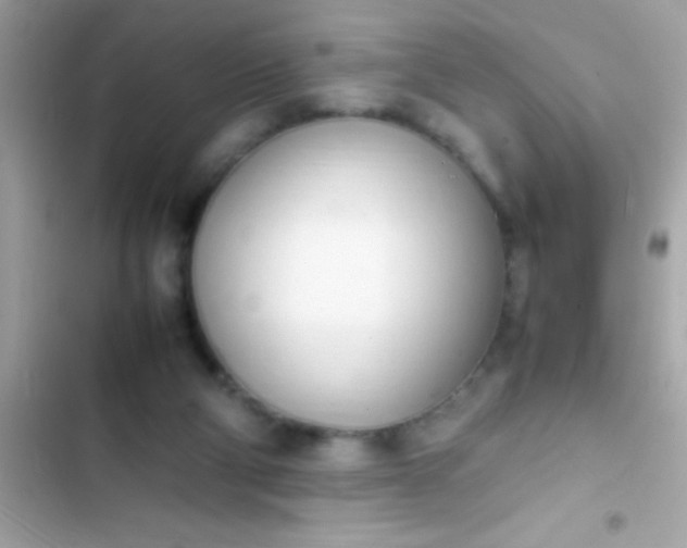 X0000103330114200809192214