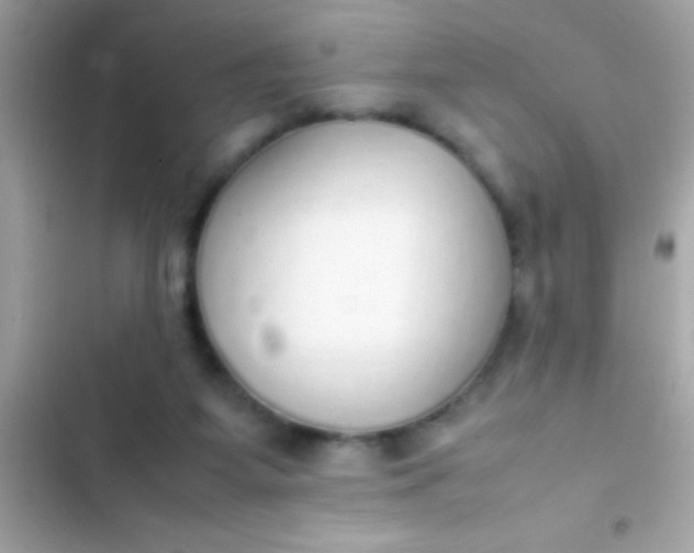 X0000103330115200809192214