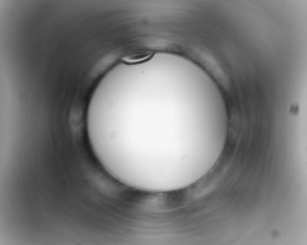 X0000103330116200809192214