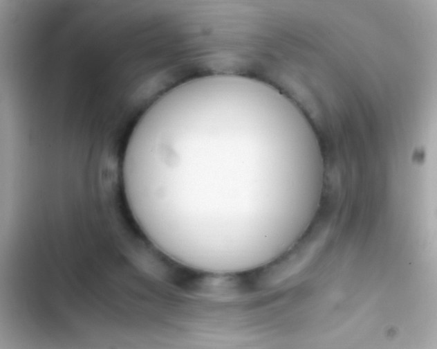 X0000103330117200809192214