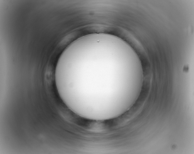 X0000103330119200809192214