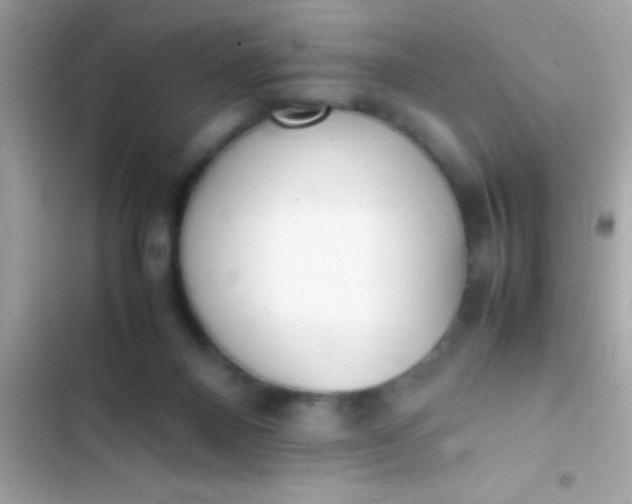 X0000103330120200809192214