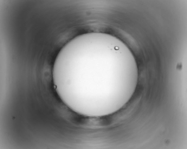 X0000103330121200809192213