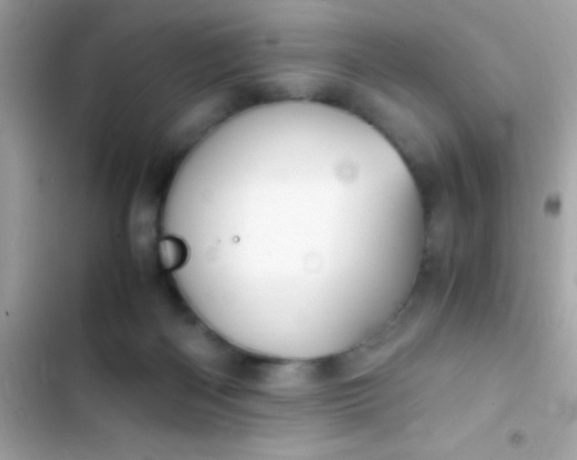 X0000103330122200809192213